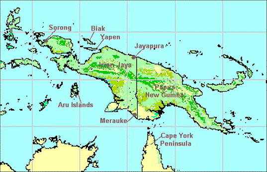 养蟒蛇当宠物  绿树蟒