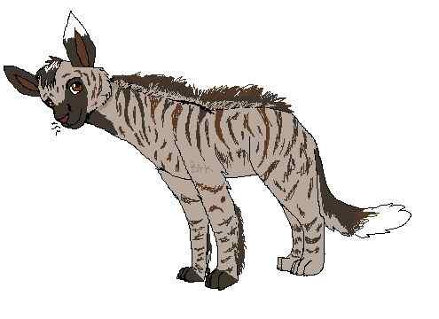 缟鬣狗 Hyaena hyaena