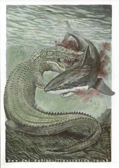 三国周处除三害  湾鳄(还有猛虎和他自己) 韩愈也参加了