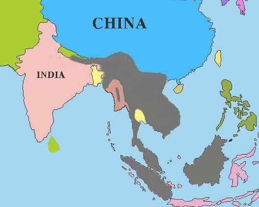 漂亮的猫科动物  石纹猫