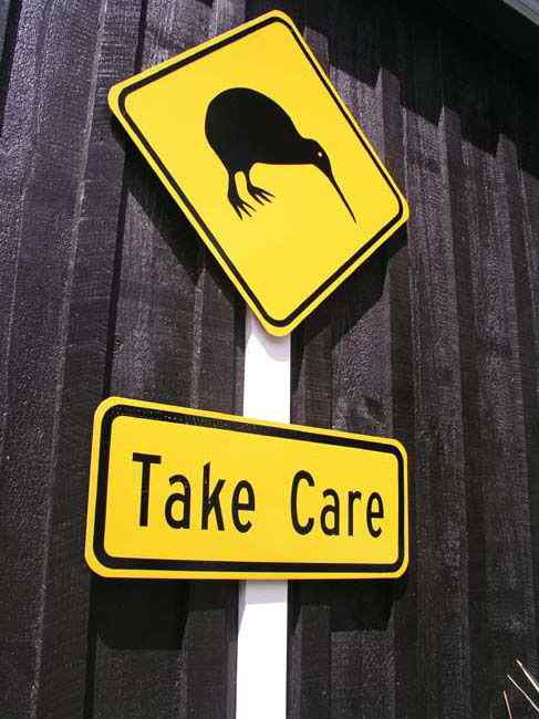 几维鸟 鹬鸵 KIWI