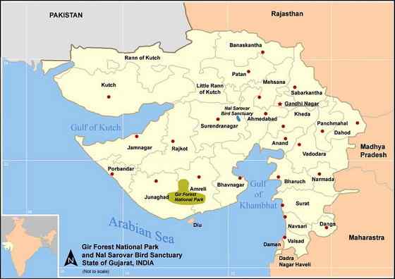 亚洲有狮子吗？  亚洲狮