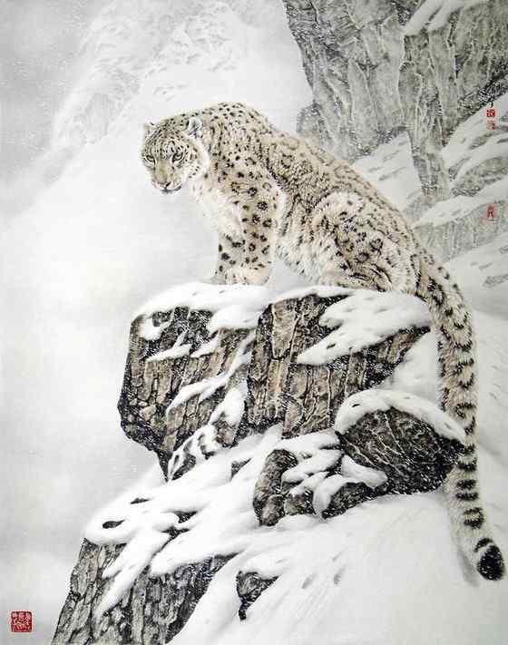 猫科动物——雪豹