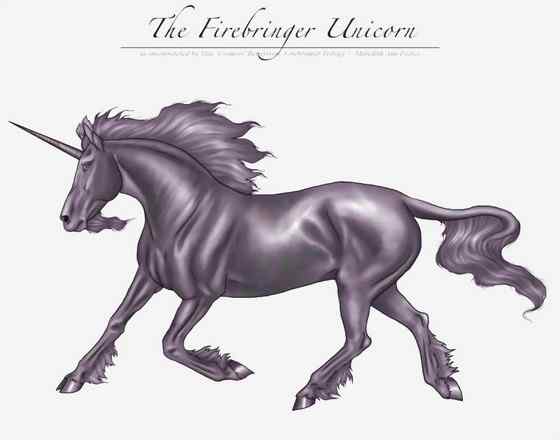 北冰洋中的独角兽 长“牙齿”的角鲸