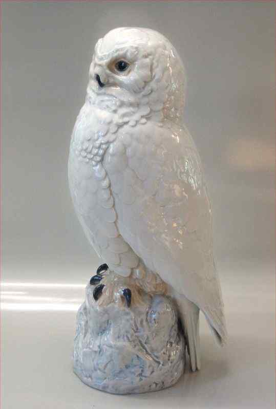 洁白的雪鸮 洁白的雪鸮