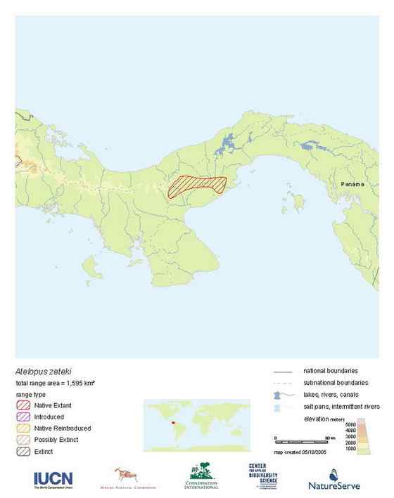 巴拿马金蛙 黄金箭毒蛙(Golden Arrow Poison Frog) 巴拿马金蛙 黄金箭毒蛙(Golden Arrow Poison Frog)