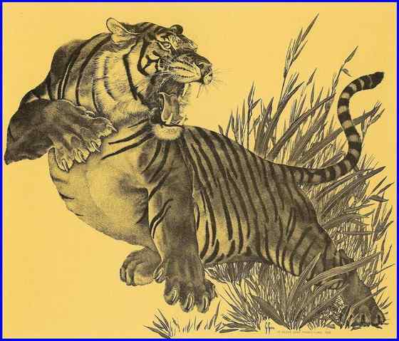 无情未必真豪杰， 怜子如何不丈夫？  苏门答腊虎