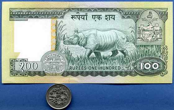 汉朝巨人与大独角犀