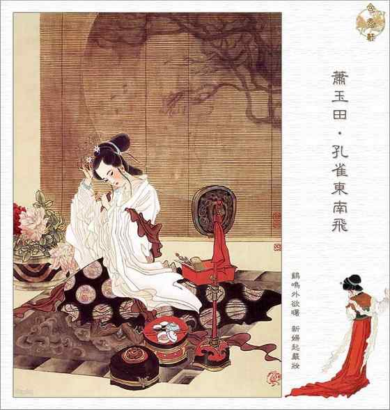 玳瑁是什么动物？一种海龟