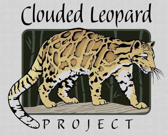 云豹最痴情 Neofelis nebulosa 云豹最痴情 Neofelis nebulosa