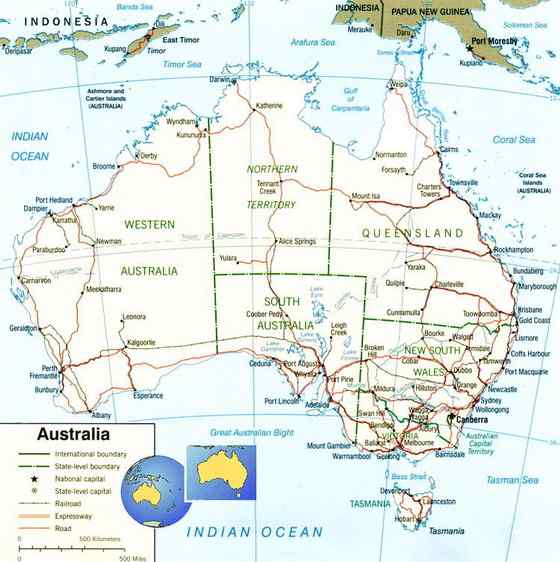 黑头盾蟒 Aspidites melanocephalus