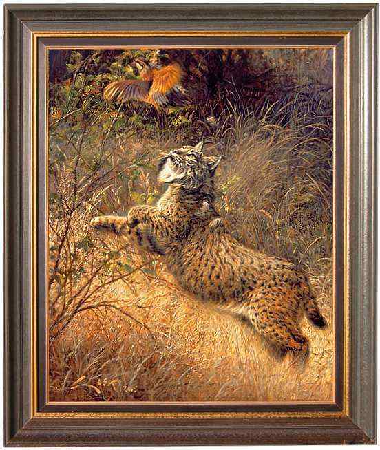 数量最少的猫科动物  伊比利亚猞猁、西班牙猞猁