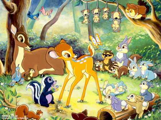 维吉尼亚鹿 白尾鹿 维吉尼亚鹿 白尾鹿