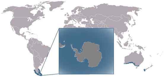 南极豹形海豹 南极豹形海豹