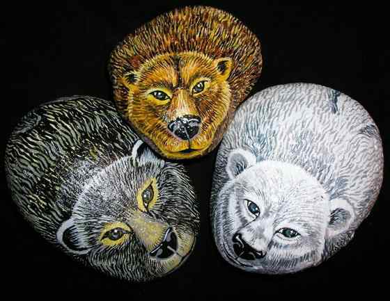 白灵熊 Kermode bear