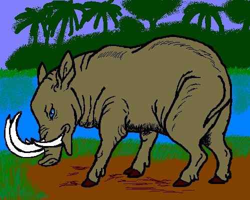 印度尼西亚的四牙猪--鹿豚