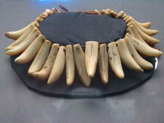 抹香鲸真的很香