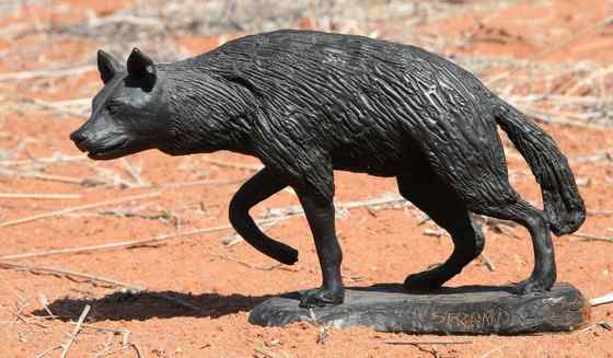 卡拉哈里的清道夫  棕鬣狗