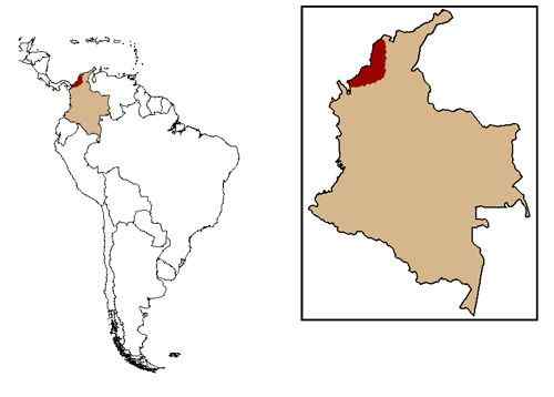哥伦比亚热带雨林的棉顶狨 Saguinus Oedipus 哥伦比亚热带雨林的棉顶狨 Saguinus Oedipus