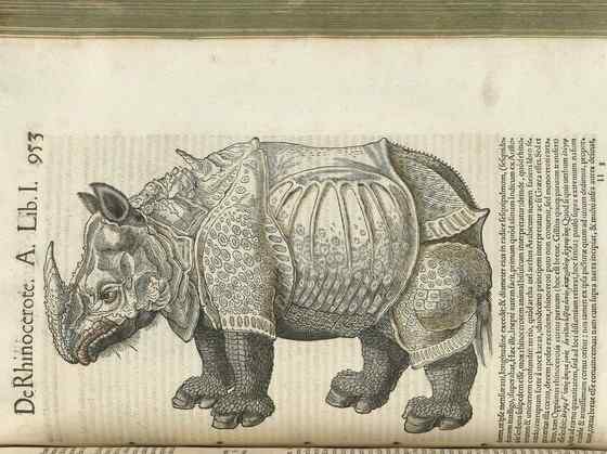 汉朝巨人与大独角犀