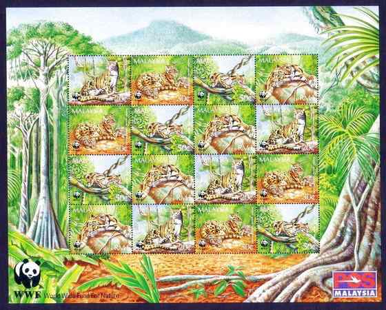 云豹最痴情 Neofelis nebulosa 云豹最痴情 Neofelis nebulosa