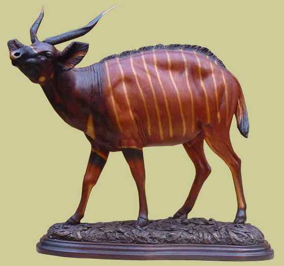 非洲最漂亮的羚羊之一  紫羚 bongo