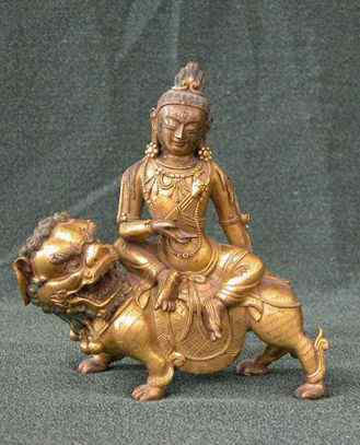 亚洲有狮子吗？  亚洲狮