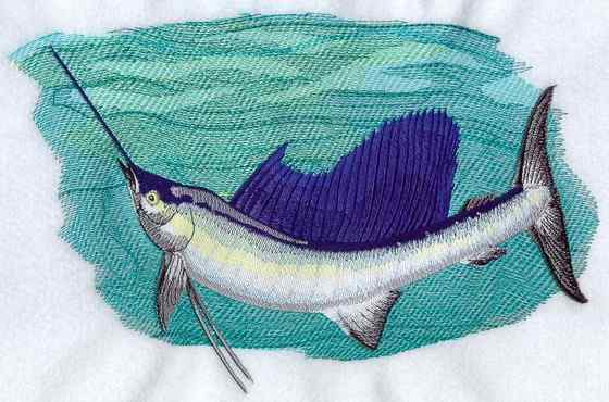 海明威《老人与海》中的旗鱼 Sailfish、Billfish