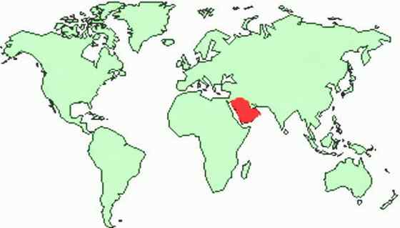 阿拉伯大羚羊 Arabian Oryx