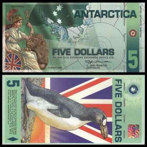 南极洲代用券——大海雀