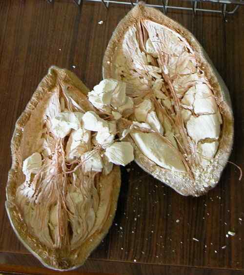 马达加斯加法郎上面的动植物