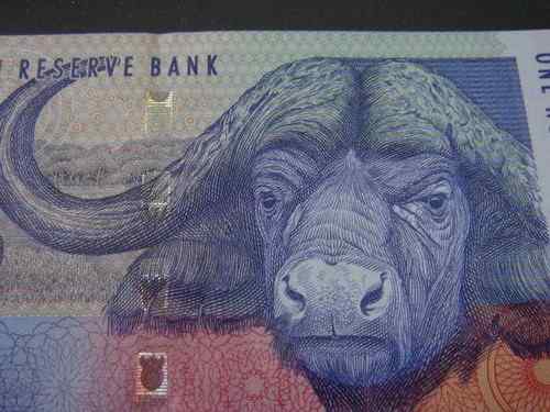 南非兰特——非洲象 南非兰特——非洲象