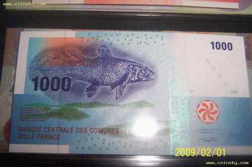 世界纸币协会的动物版纸币 世界纸币协会的动物版纸币