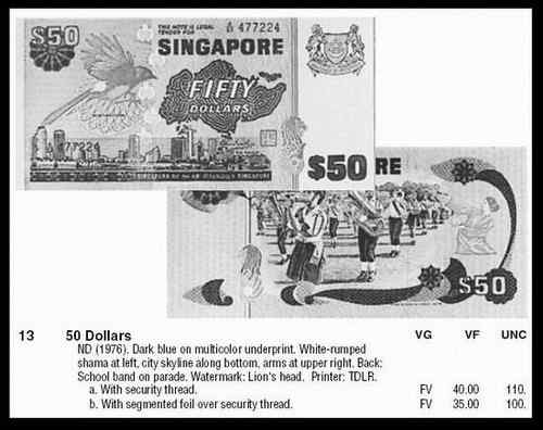 新加坡白腰鹊鸲