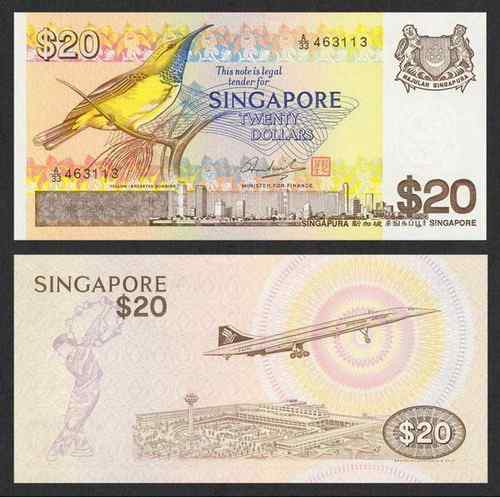 新加坡黄腹太阳鸟