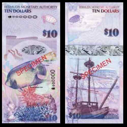 百慕大蓝纹神仙鱼