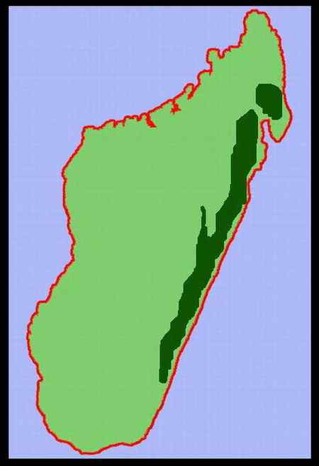 马达加斯加法郎上面的动植物