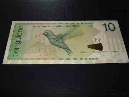 荷属安的列斯盾——紫喉蜂鸟