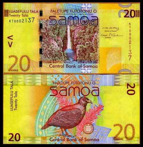 萨摩亚塔拉——萨摩亚鸽