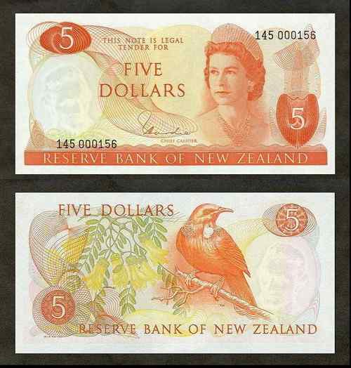 新西兰秃儿吸蜜鸟