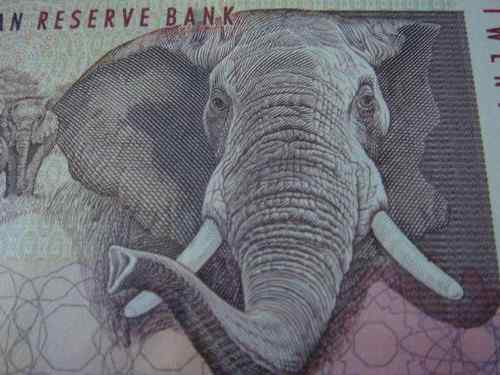 南非兰特——非洲象 南非兰特——非洲象