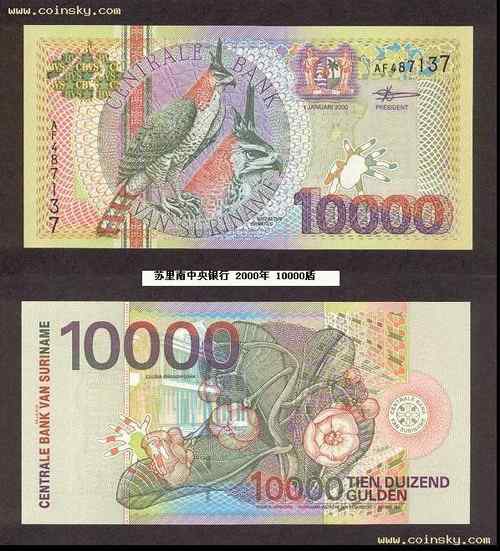 苏里南饰冠鹰雕