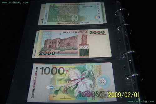 苏里南王霸鹟 Royal Flycatcher