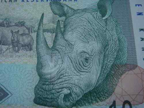 南非兰特——非洲象 南非兰特——非洲象