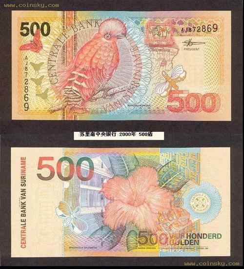 苏里南圭亚那动冠伞鸟 Guianan Cock-of-the-rock