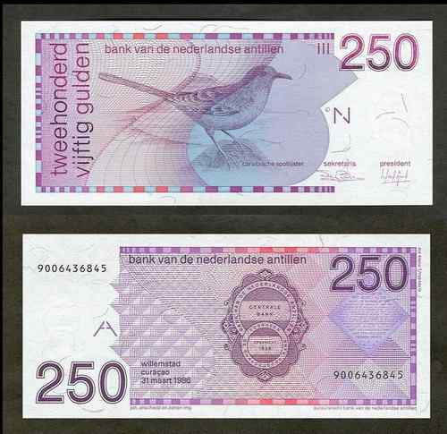 荷属安的列斯盾——热带小嘲鸫（dōng）