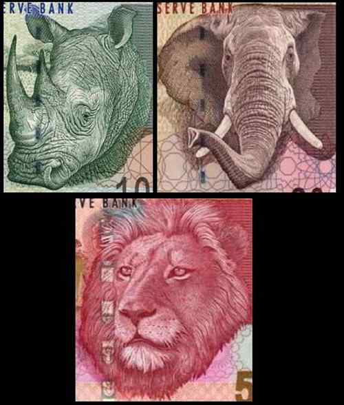 南非兰特——非洲狮 南非兰特——非洲狮