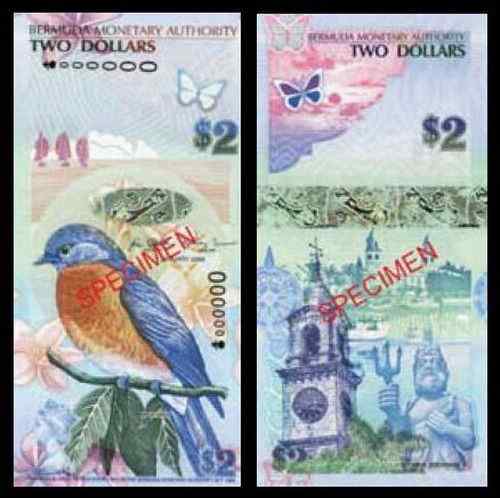 百慕大蓝鸟Bluebird