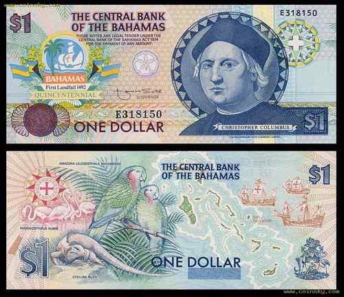 巴哈马——古巴亚马逊鹦哥 Cuban Parrot