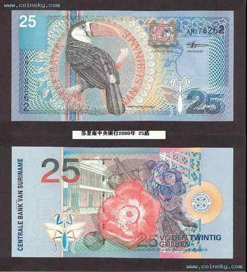 白喉巨嘴鸟 White-throated Toucan